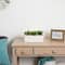 13" Agave Succulent in White Rectangular Planter